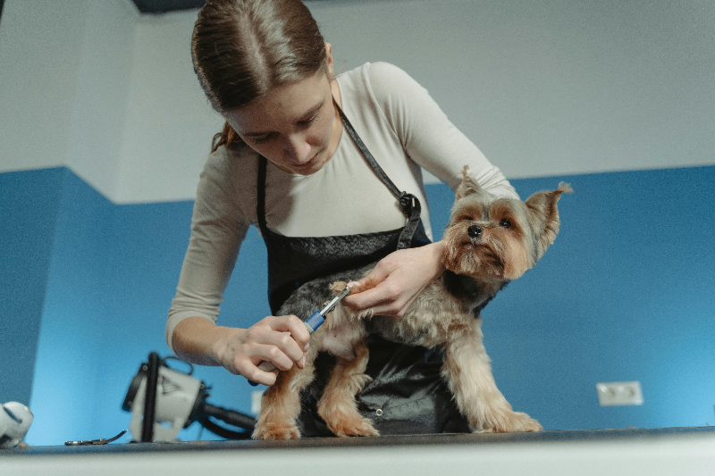 Nail Trimming