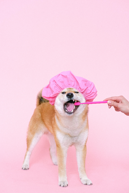 Teeth Wash
